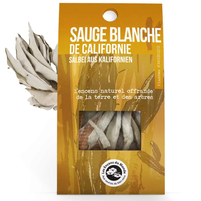 Sauge Blanche de Californie